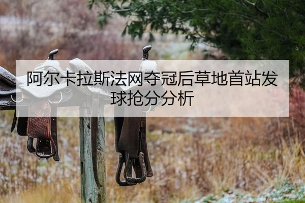 a-er-ka-la-si-fa-wang-duo-guan-hou-cao-di-shou-zhan-fa-qiu-qiang-fen-fen-xi-2-457.jpg
