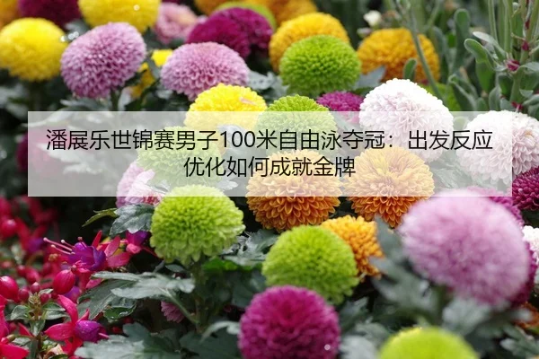 潘展乐世锦赛男子100米自由泳夺冠：出发反应优化如何成就金牌