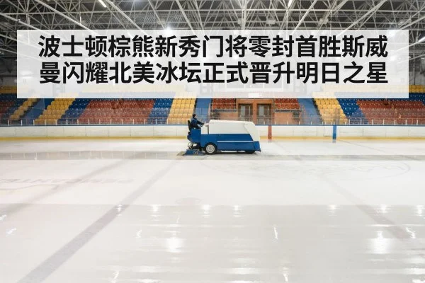 hockey rink