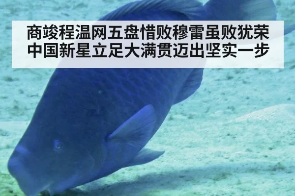 商竣程温网五盘惜败穆雷虽败犹荣 中国新星立足大满贯迈出坚实一步